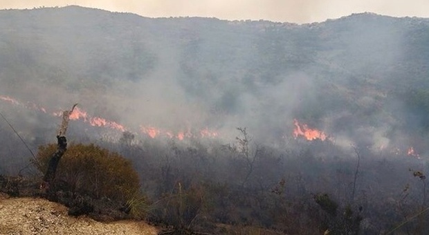 le fiamme sulle colline tra Ogliastro e Agropoli