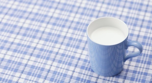 Tumori, bere latte e mangiare formaggi aiuta a ridurre il rischio
