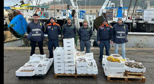 Pesce in vendita per strada, senza ghiaccio nè autorizzazioni: blitz al Mandracchio, sequestrati 400 kg di prodotto ittico