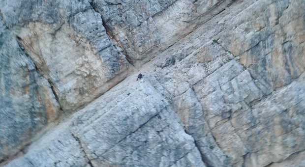 Alpinista colpita da un sasso sulla parete della montagna. Il compagno recuperato dopo una notte all'addiaccio