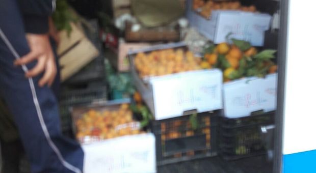 Maxi sequestro della municipale: a Napoli 400 chili di frutta abusiva