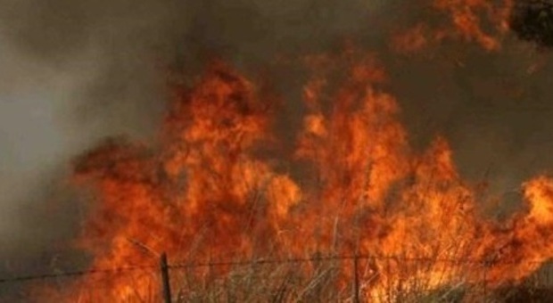 Vasto incendio scoppia nel parco del Vesuvio: ardono 9 ettari