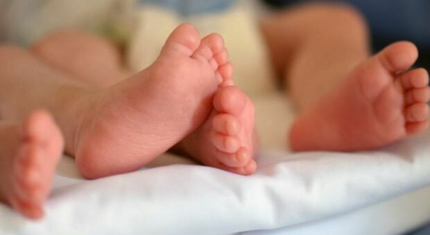L'appello della Società Italiana di Neonatologia: « Virus sinciziale, la prevenzione per i neonati si faccia in ogni regione»