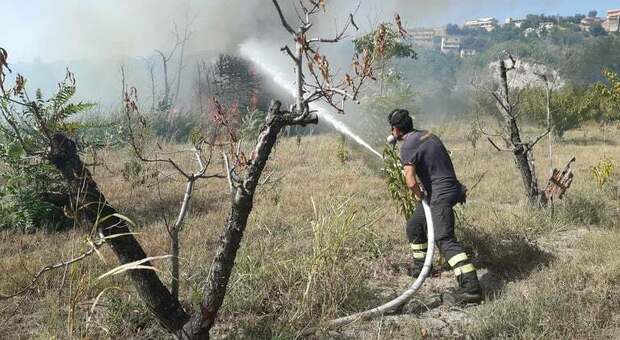 Incendio tra Marano e Quarto: arriva il Canadair del domare le fiamme