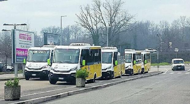 Trasporto pubblico a Frosinone, l'Anticorruzione chiede chiarimenti sull'appalto