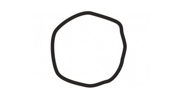 Questo è un cerchio? La risposta potrebbe rivelare più di quanto si possa pensare