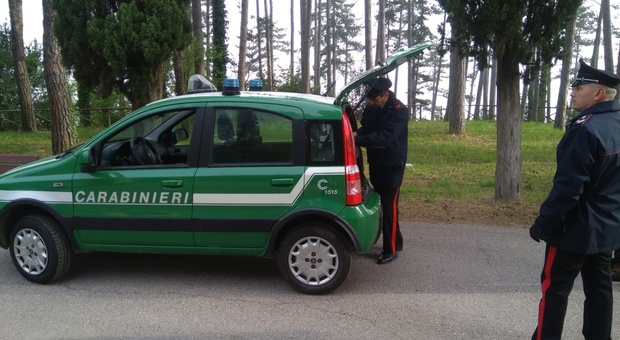 Controlli anti covid-19: viaggia su un motorino rubato e minaccia col machete i carabinieri Forestali. Scatta l'arresto