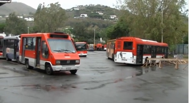 alcuni bus dell'Eav a Ischia
