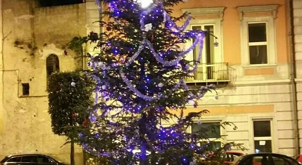 L'albero in piazza Cimmino