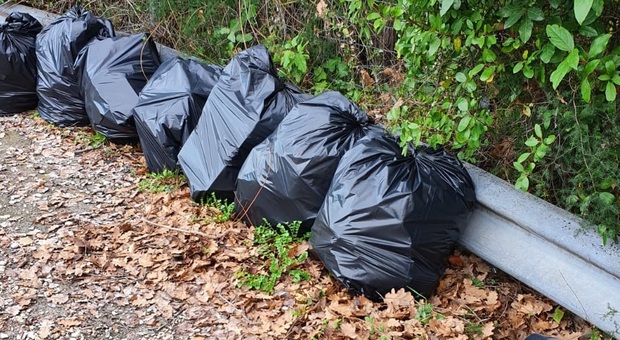 I sacchi di rifiuti raccolti dai volontari