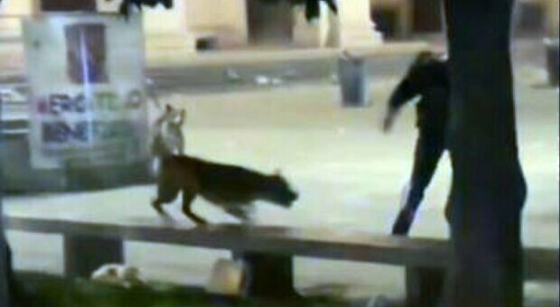 Milano, carabiniere spara al cane: ragazza ferita alla gamba, il video è virale sui social