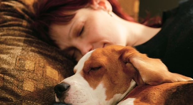 A letto meglio il cane del partner: la scelta delle donne che sorprende