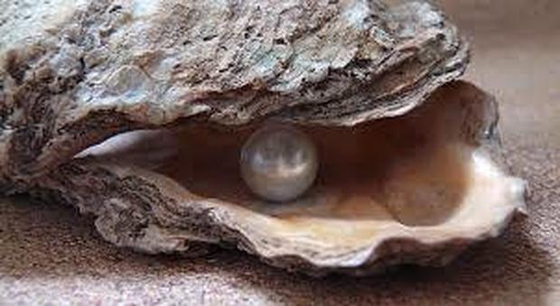 L'ostrica in cui è stata trovata la perla