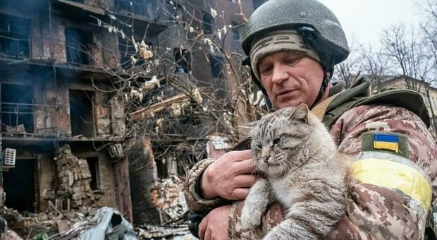 UAnimals lancia l'allarme in Ucraina: «Più di 200mila animali morti o senza casa e padrone dall'inizio degli attacchi russi»