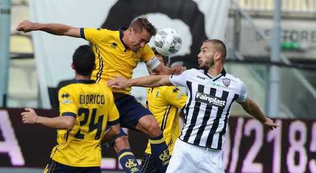 Una fase di gioco durante Modena-Ascoli terminata 2-1 per gli emiliani