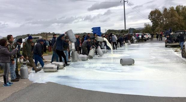 Protesta latte, accordo raggiunto con i pastori per 74 centesimi al litro