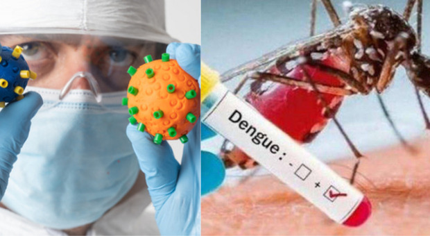 Nuova pandemia in vista? Quali sono i 20 virus sotto osservazione da parte della Società italiana d'igiene e dell'Oms