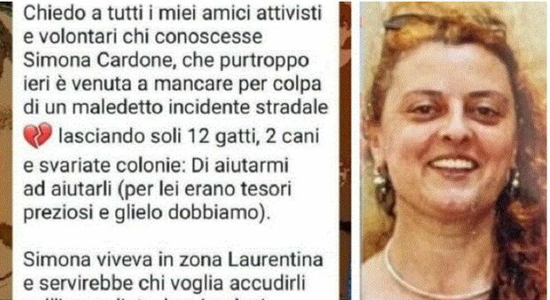 Simonetta Cardone uccisa da una Tesla a Roma, aveva 20 gatti e due cani. L'appello: «Aiutateci a trovar loro una casa»
