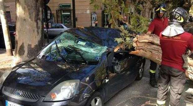 Roma, albero crolla su un'auto quattro feriti: anche una donna incinta
