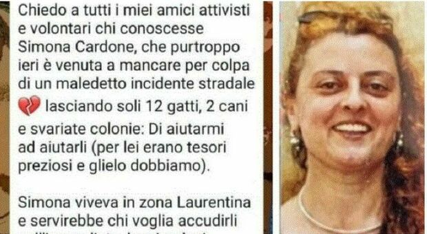 Simona Cardone uccisa da una Tesla a Roma, aveva 20 gatti e due cani. L'appello: «Aiutateci a trovargli una casa»
