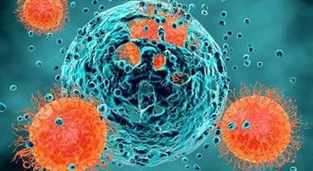 Scoperta cellula immunitaria in grado di riconoscere diverse forme di tumore