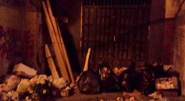 Addobbi natalizi tra i rifiuti, vergogna in piazzetta Sansone a Scafati