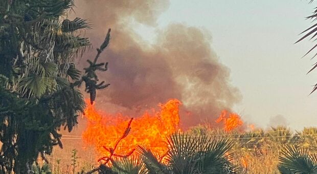 Teramo, vasto incendio a ridosso della ferrovia: le fiamme minacciano le case vicine