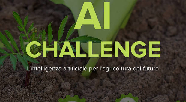 Orvieto. Vetrya, Microsoft e Tartufi Urbani lanciano l'Ai Challenge per la smart agricolture