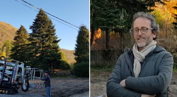 Chiamiamolo Speraggio/L'anti-Spelacchio dai boschi di Varese