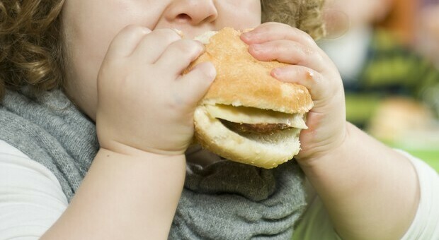 Obesità infantile, pediatri: «No ai divieti, le regole durano solo se diventano cultura» . Su bibite passo avanti