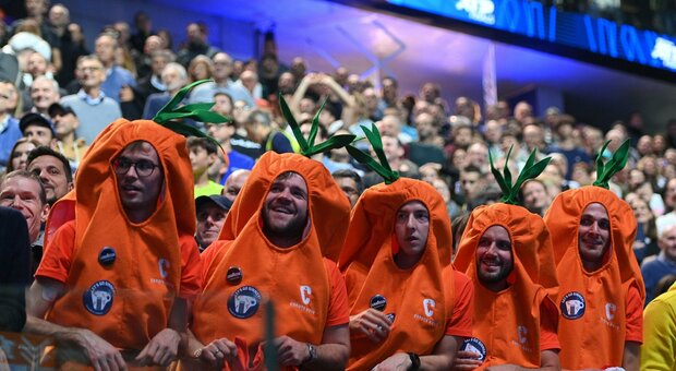 Sinner, perché i suoi tifosi si vestono da carota? La spiegazione