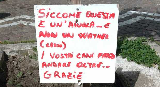Degrado a Napoli, escrementi di cani davanti al negozio: «È un'aiuola, non è un water»