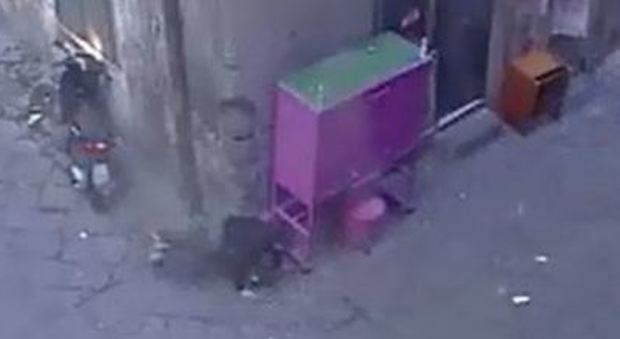 Video choc dell'omicidio a Napoli, dietro il raid una faida tra le donne