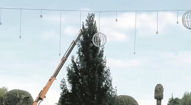 Debutta il cartellone natalizio di Civitanova: oggi si accendono le luminarie