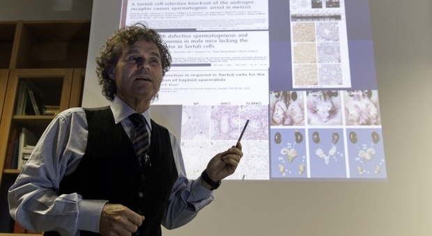 Il professor Carlo Foresta, tra i coordinatori della ricerca