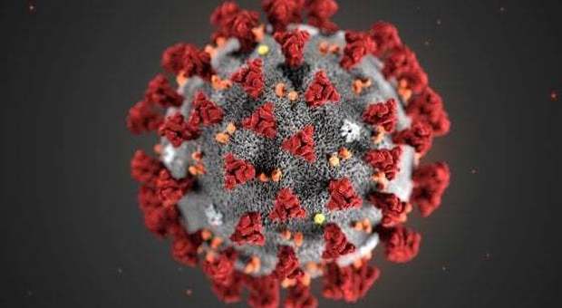 Coronavirus, Iss: «A 37 gradi resiste un giorno, a 27 una settimana»