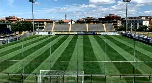 Perimetral Led Enrico Rocchi Stadium