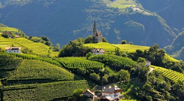 Dolomiti d'estate: Bolzano per tutti i gusti