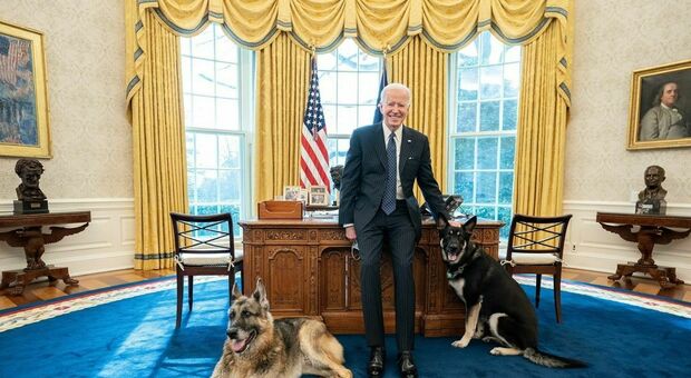 Joe Biden e la foto nello Studio Ovale: «Pochi possono entrare, per fortuna loro due sono in lista»