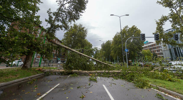 Nubifragio su Milano: alberi crollano in strada, metropolitana e linee ferroviarie interrotte. Anche il concerto di Bruce a rischio