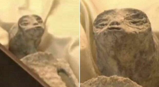 Ufo o mummie, mistero in Messico: «Non sono alieni, ma qualcosa di molto peggio»