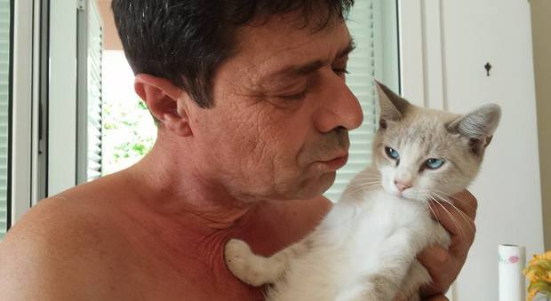 Uccidono il gatto a un consigliere della Puglia, lo sfogo su Facebook: "Piango come un bambino"