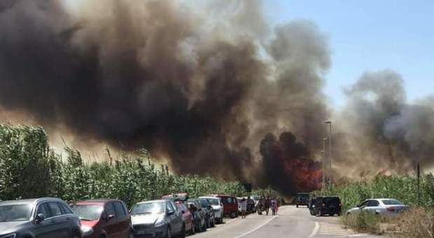 Incendio sulla litoranea di Manduria, paura fra i bagnanti: le fiamme lambiscono le auto in sosta