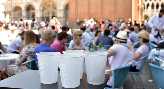 Venezia diventa "plastic free": dal 2021 in bar e locali solo piatti, bicchieri e posate biodegradabili