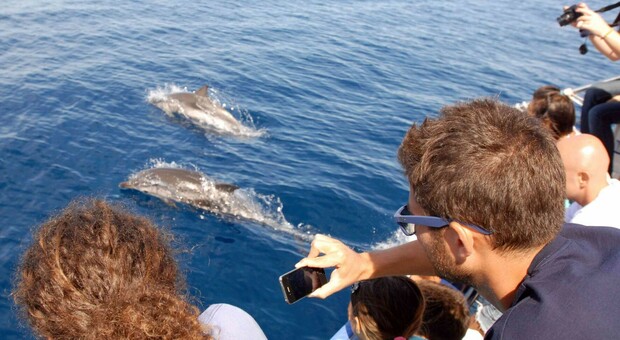 A Taranto studenti a tu per tu con i delfini