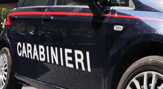 Scheletro ritrovato a Piacenza: «Morto da 10 anni». Era un ragazzo, appello per identificarlo