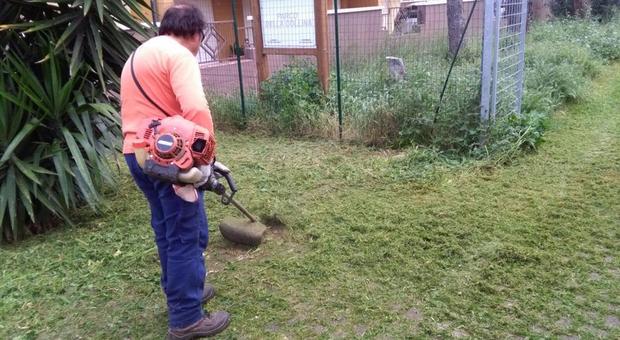 Un volontario taglia l'erba
