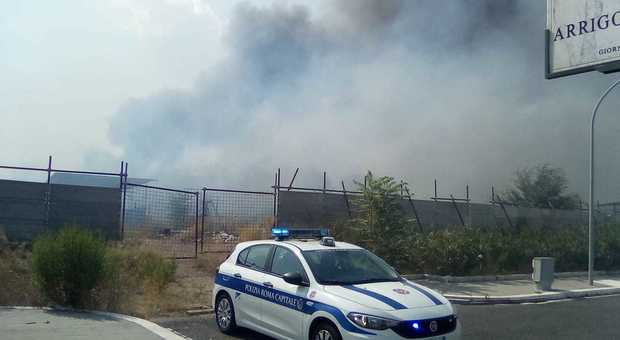 Incendio di sterpaglie sul tratto urbano della A24 a Portonaccio, traffico rallentato