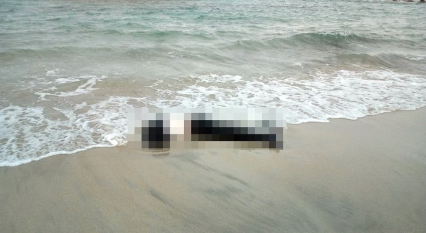 Gallipoli, cadavere scoperto da una famiglia sul bagnasciuga: orrore in spiaggia
