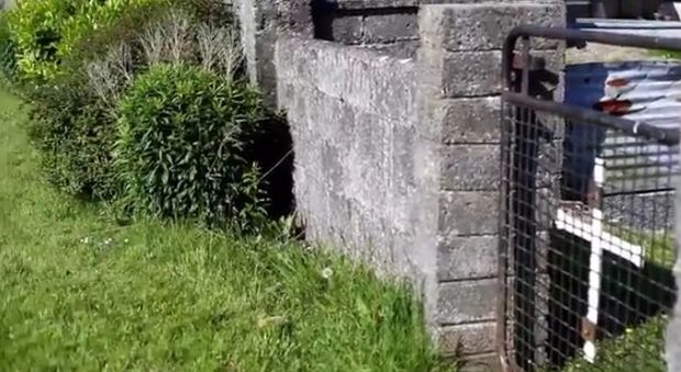 Parte della casa di accoglienza di Tuam, in Irlanda (foto da video)